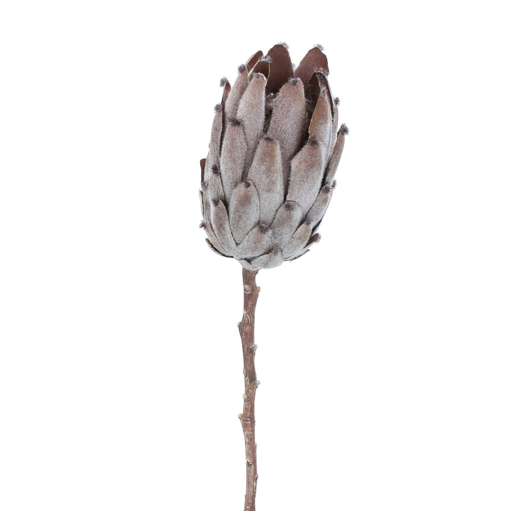 gisela graham faux artificial antiqued protea stem