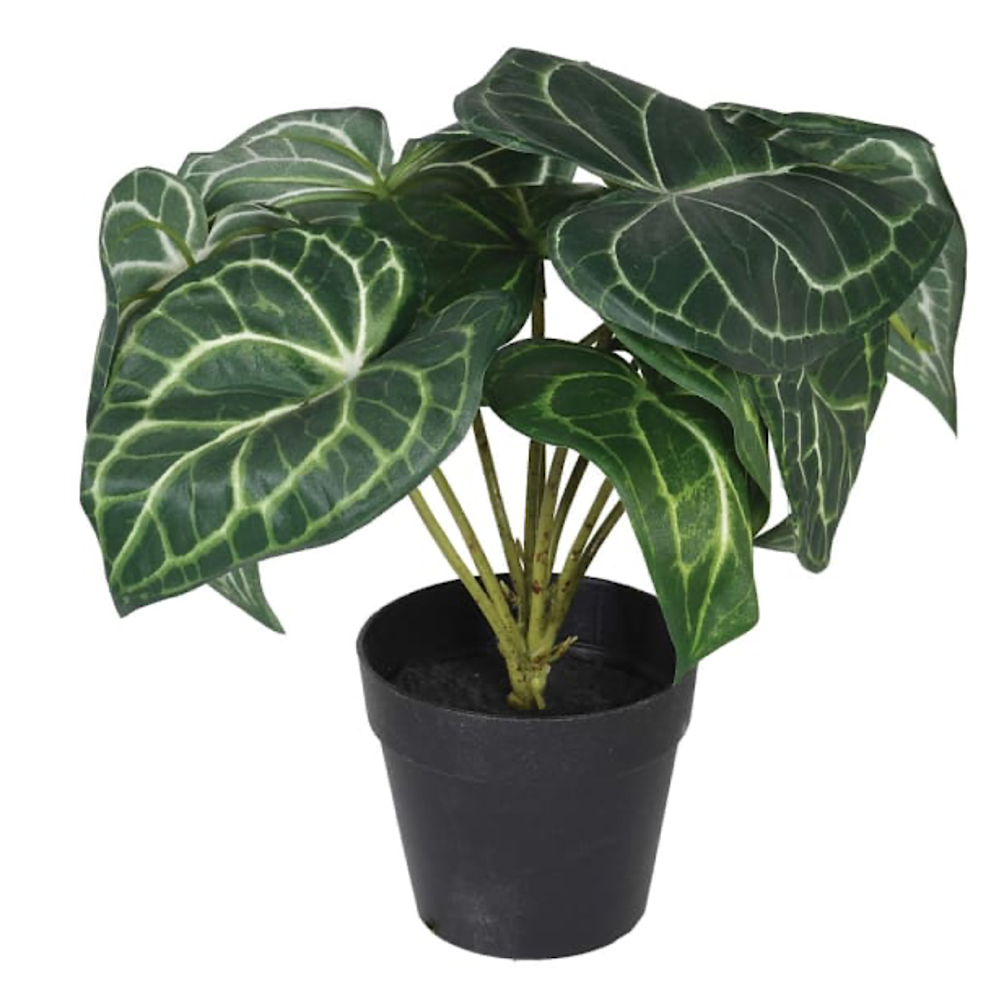 Faux Syngonium Plant