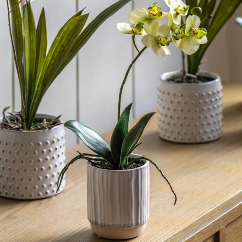 Faux Potted Cream Orchid