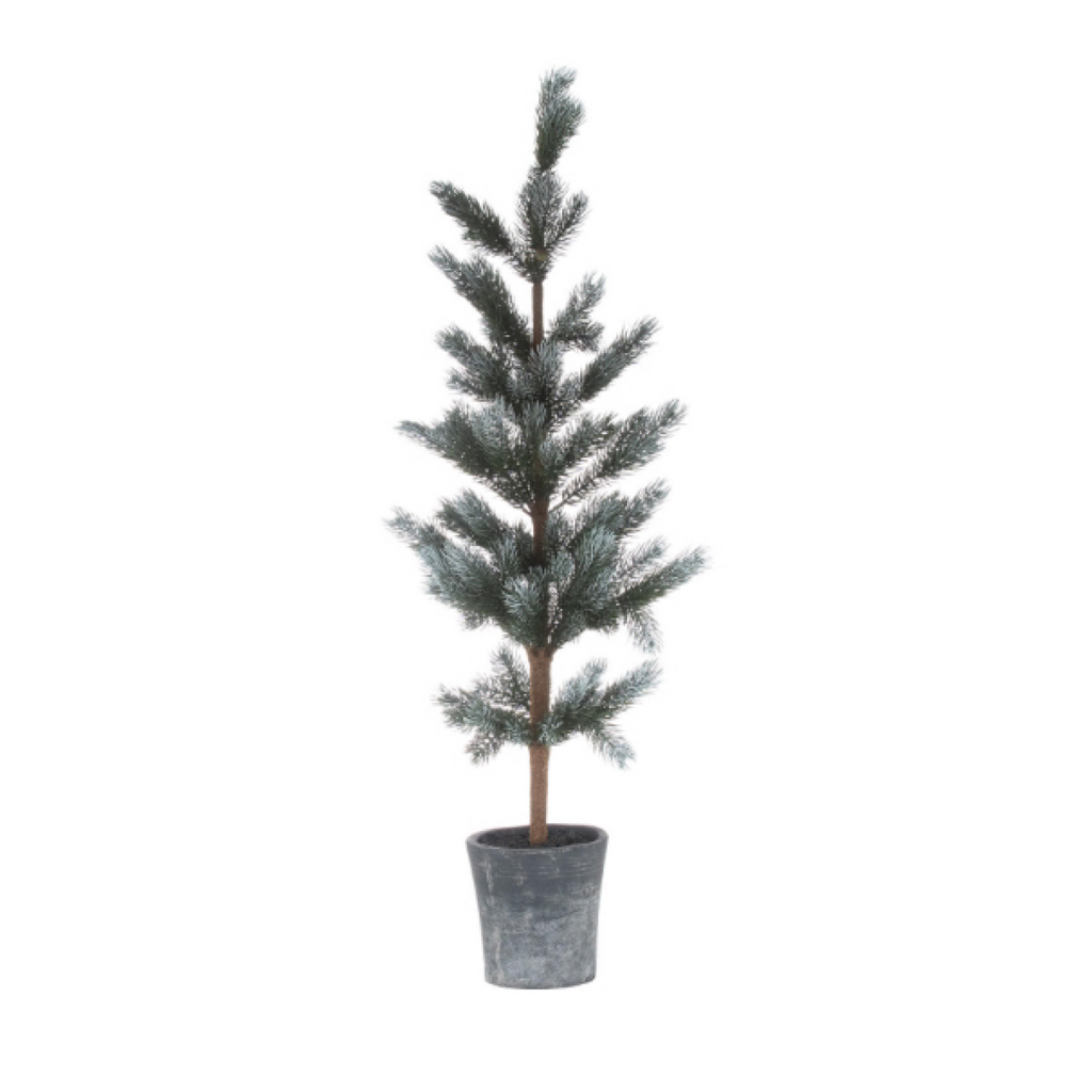 Christmas fir tree in stone pot