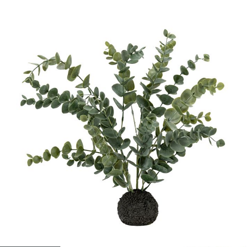 Faux Eucalyptus in Soil Ball