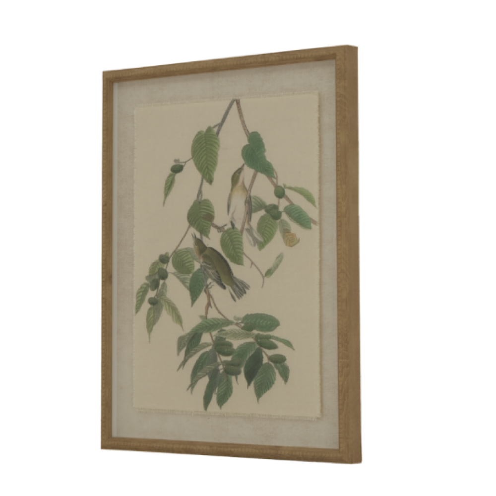 Framed Warblers on linen