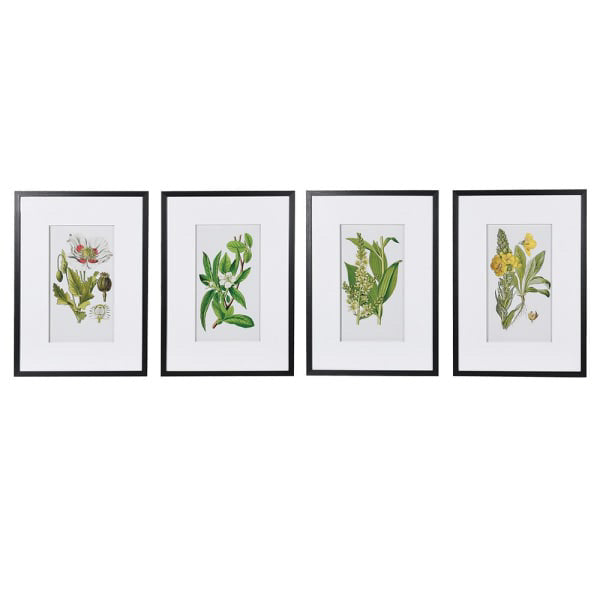 Framed set of 4 floral prints