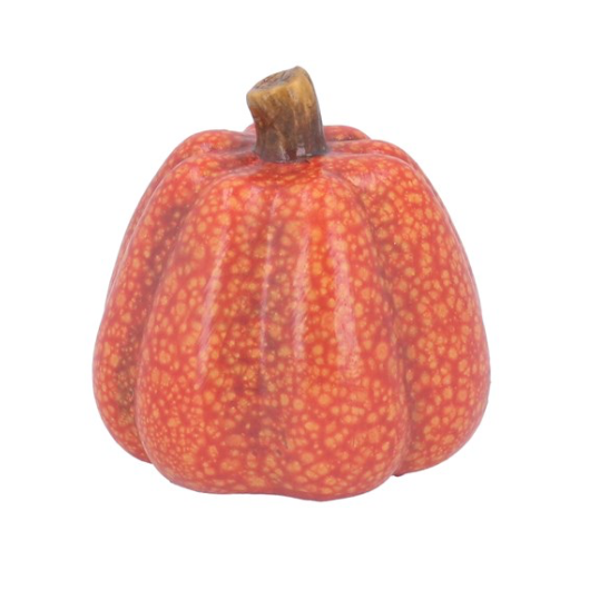 Mini orange speckled pumpkin Gisela graham 