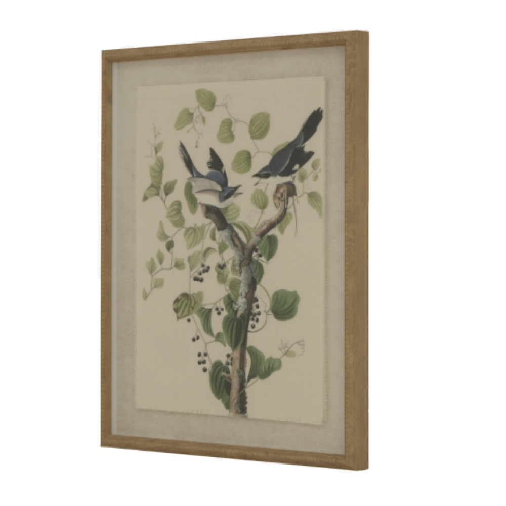 Framed Shrikes on Linen
