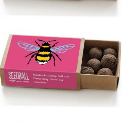 Bee Seed Box