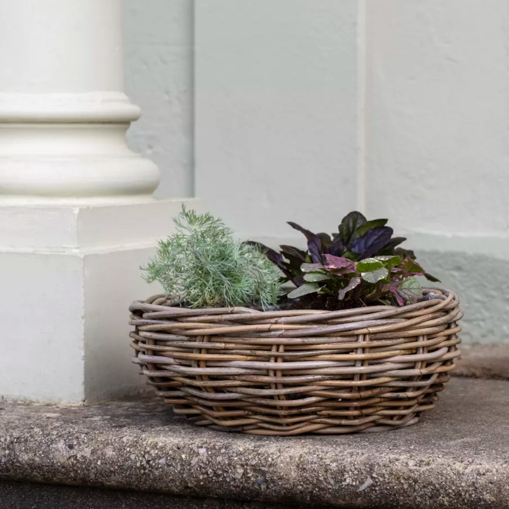 Kubu Bowl Basket Planter