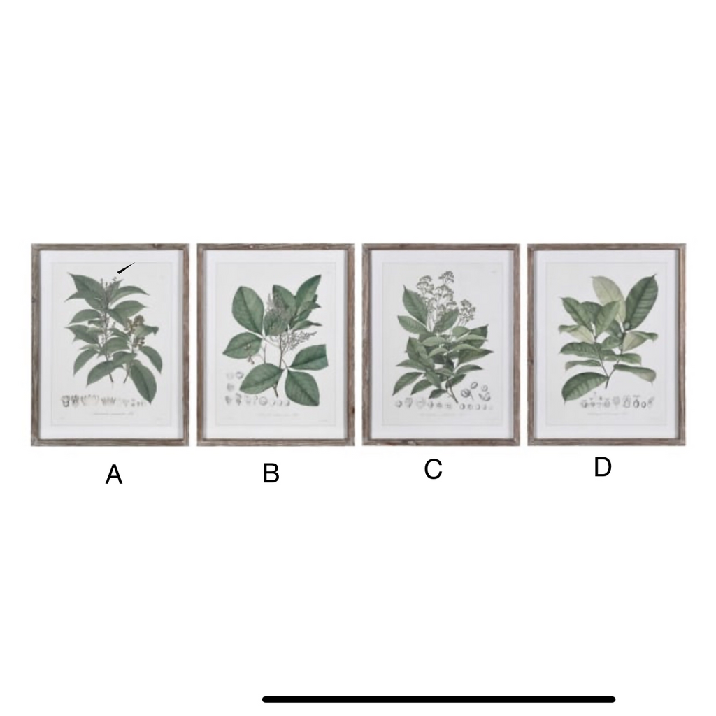 Rustic wooden framed herb prints