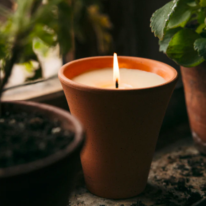 St. Eval Victorian Herb Pot Bergamot & Nettle