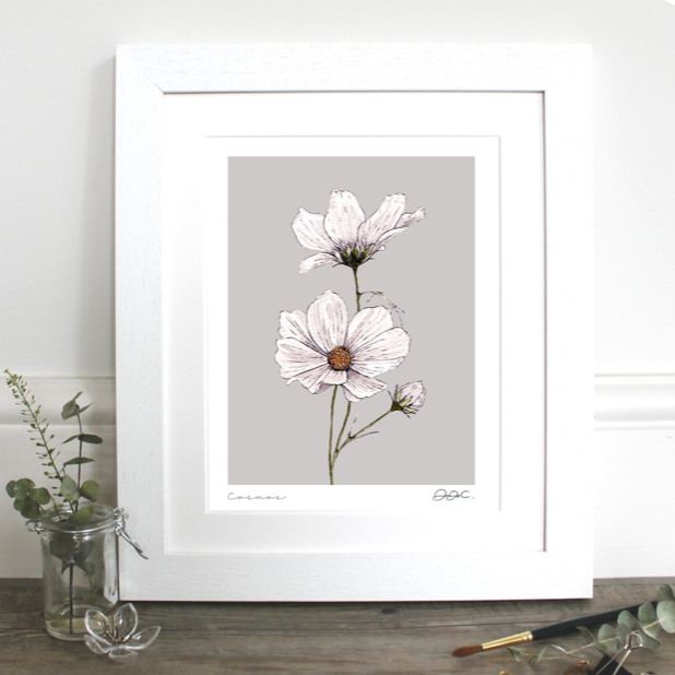 Toasted Crumpet Cosmos 10 x 12″ Mounted Fine Art Print