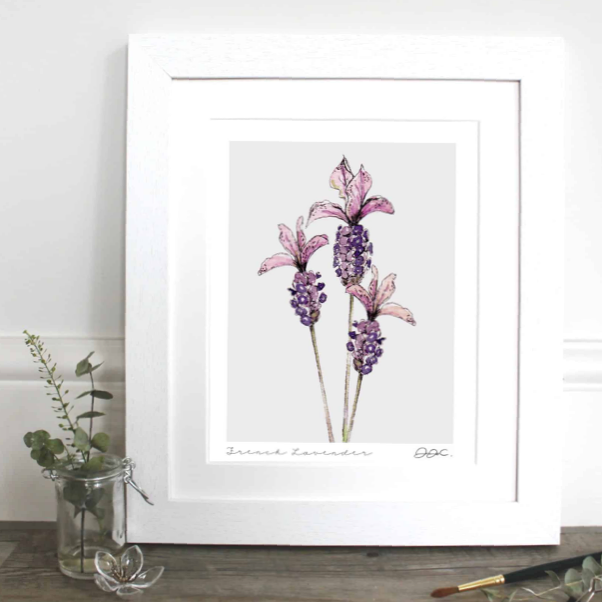 Toasted Crumpet French Lavender 10 x 12″ Mounted Fine Art Print