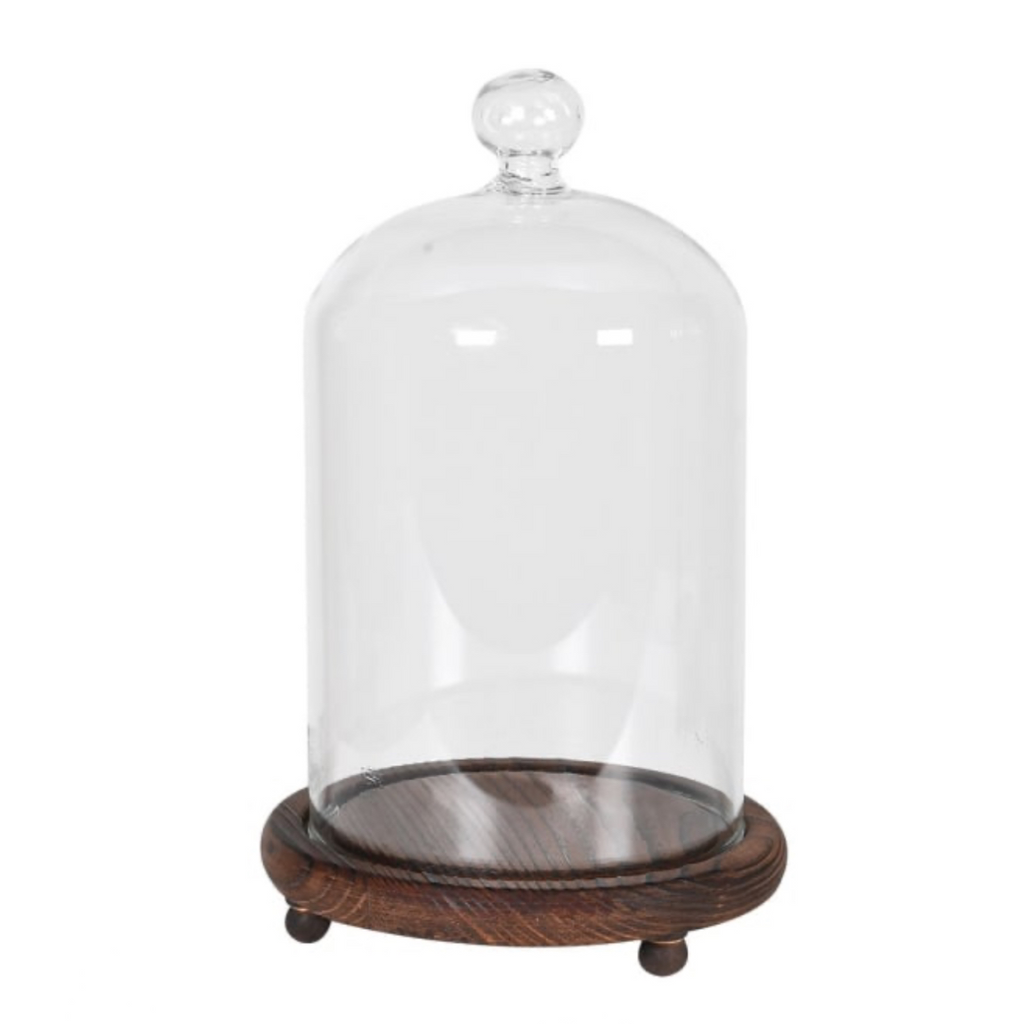Wooden base glass dome display 