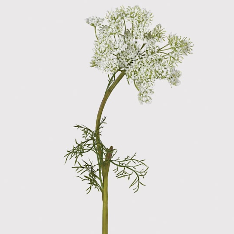 White Queen Anne's Lace Faux Flower