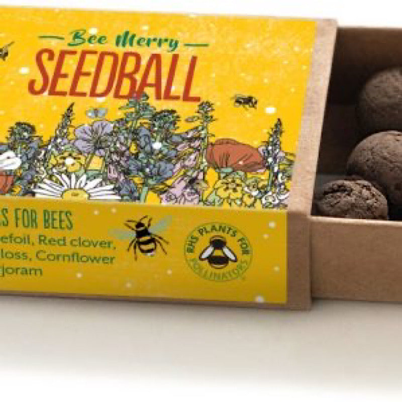 Bee Merry Seedball Box