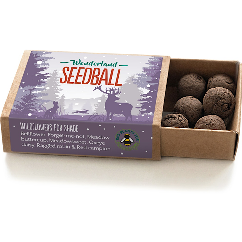 Winter wonderland seedball box